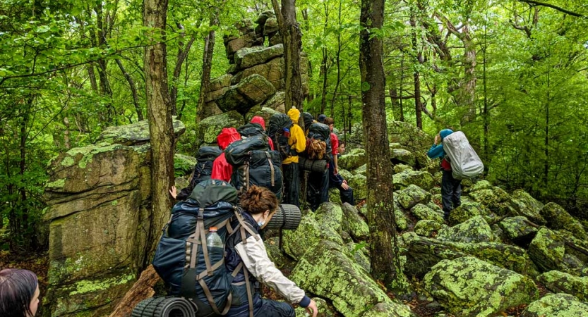 a group of students wearing backpacks make their way uphill in a green forest 